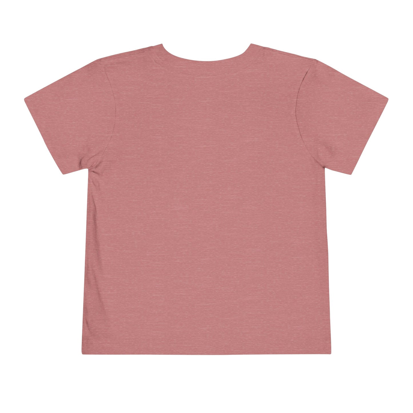 Worthy Toddler Short Sleeve Tee